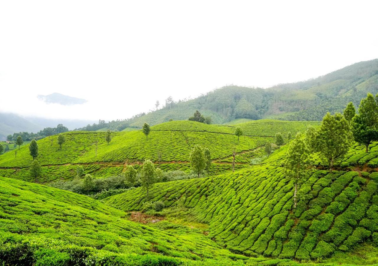 Arivikad Tea Bungalow Munnar By Voye Homes Suryanelli Экстерьер фото